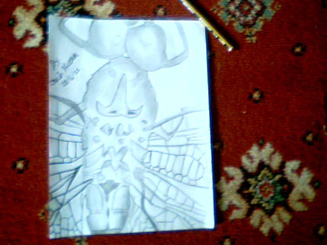 Pencil Drawing of 'Fly not Bee' ;L